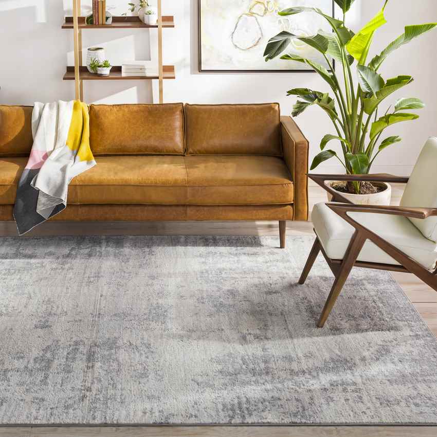 Barett Modern Beige/Gray Area Rug-0